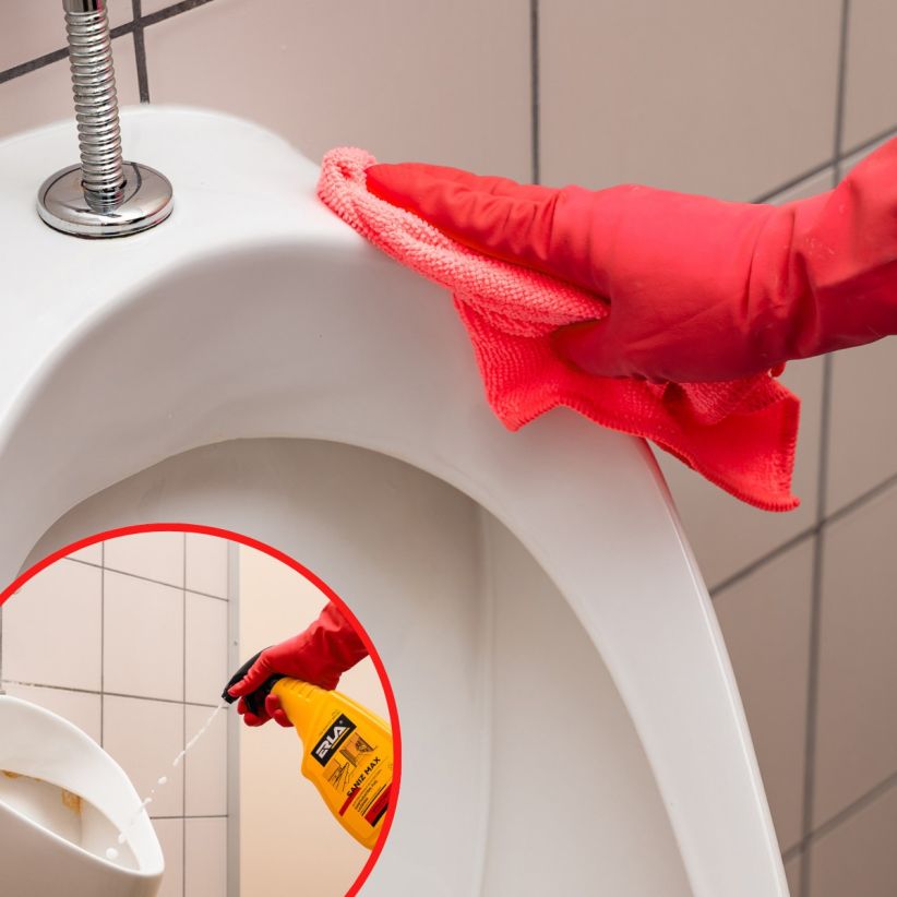 Erla Saniz Max Saniteettitilojen puhdistusaine 750ML