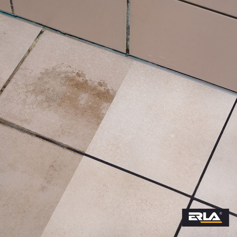 Erla Saniz Max Saniteettitilojen puhdistusaine 750ML
